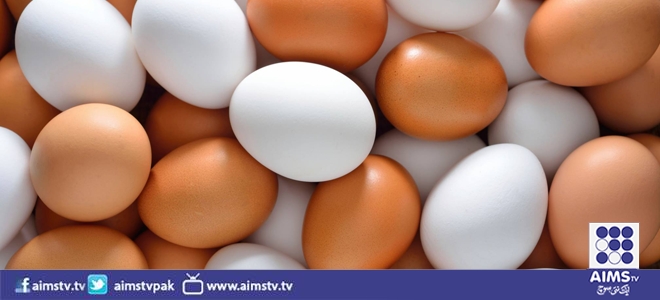 نیویارک: ذہنی امراض سے بچاو کے لئے انڈوں کا استعمال مفید-