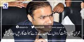 عمران خان دہشت گردوں کے سب سے بڑے سہولت کار ہیں،عابد شیر علی