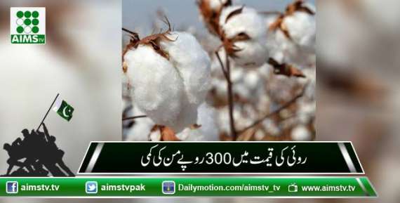 روئی کی قیمت میں 300 روپے من کی کمی