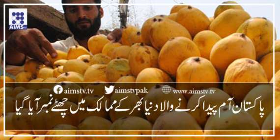 پاکستان آم پیدا کرنے والا دنیا بھر کے ممالک میں چھٹے نمبر آیا گیا