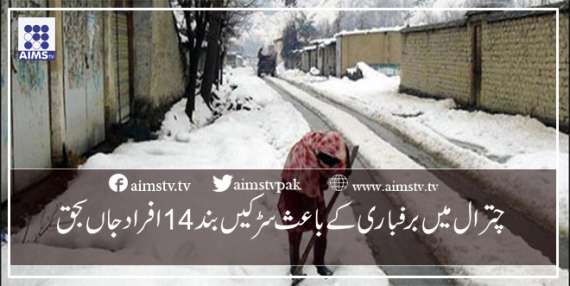 چترال میں برفباری کے باعث سڑکیں بند14افراد جاں بحق