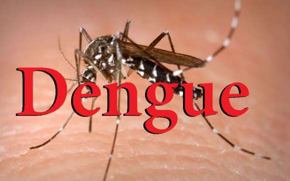 ڈینگی وائرس سےمتعلق چند حقائق