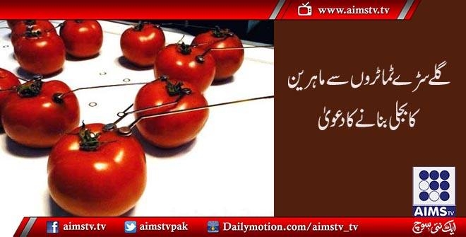 گلے سڑے ٹماٹروں سے ماہریں کا بجلی بنانے کا دعویٰ