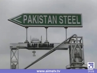 (صنعتوں کی ملکہ بحران کا شکار (پاکستان اسٹیل مل